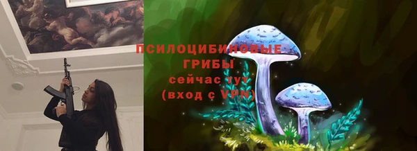 гашик Вязники