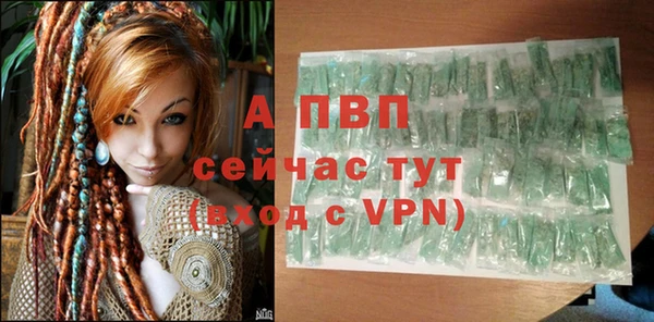 тгк Нея