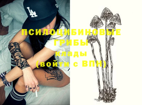 дмт Новодвинск