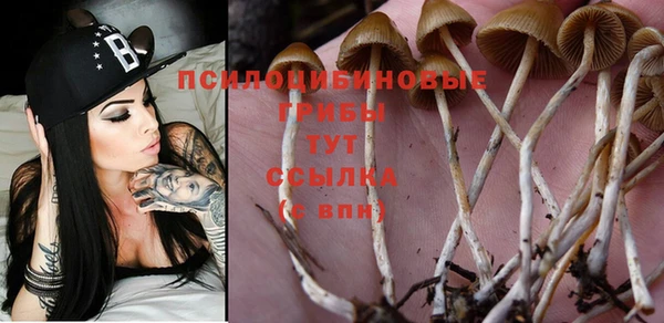 тгк Медвежьегорск