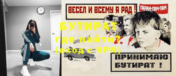 индика Вяземский