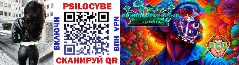 Псилоцибиновые грибы GOLDEN TEACHER Задонск